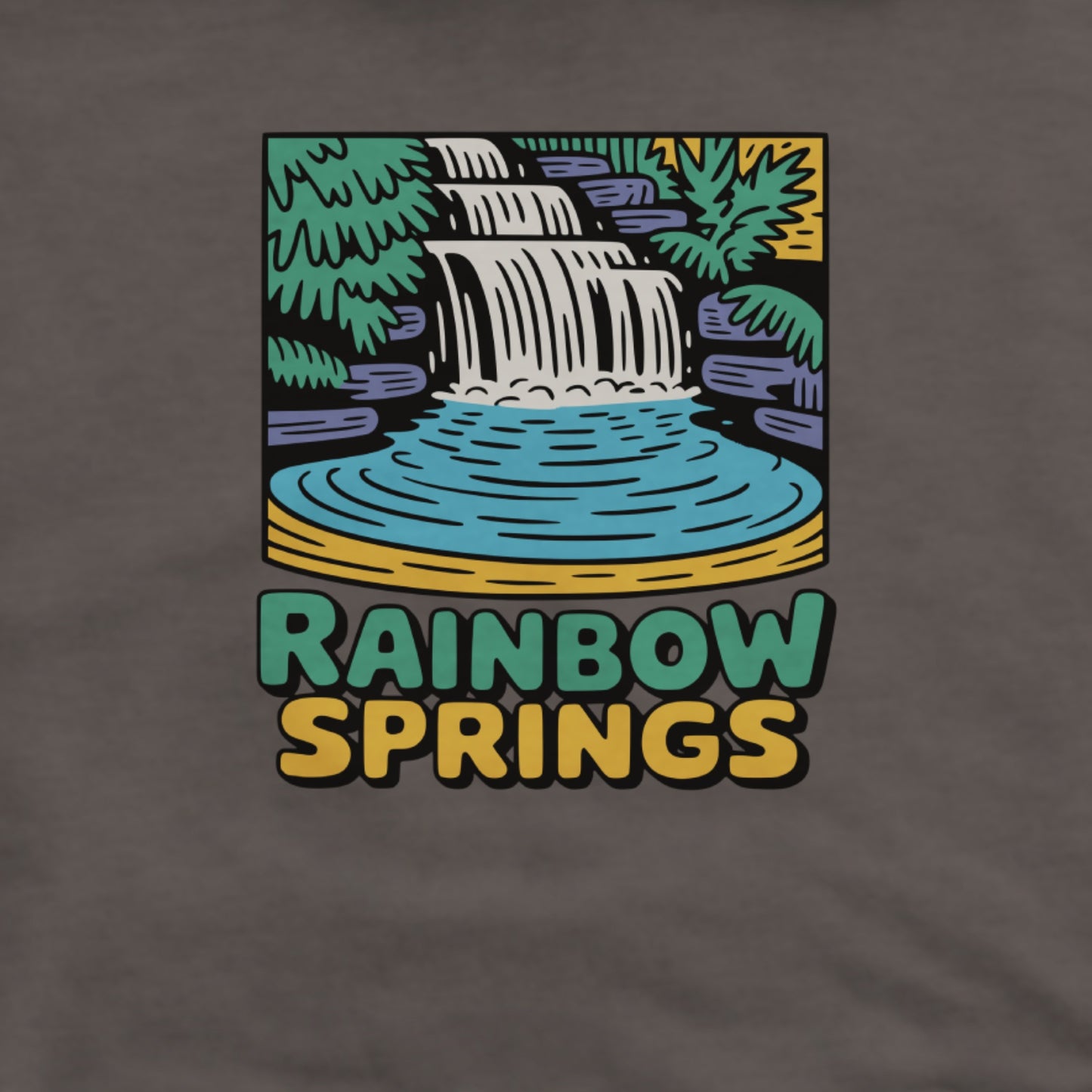Rainbow Springs State Park Hoodie Adventure and Outdoors Themed Hoodie