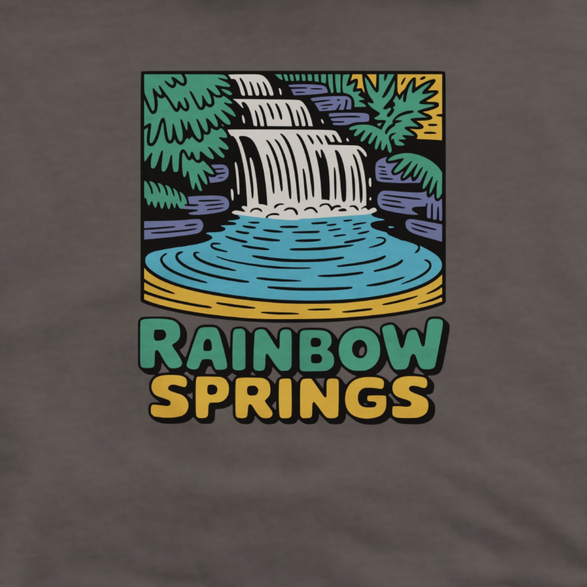 Rainbow Springs State Park Hoodie Adventure and Outdoors Themed Hoodie