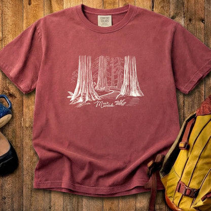 Muir Woods Line Drawing Cotton T-Shirt