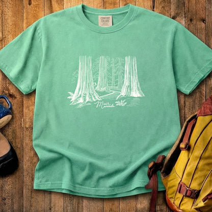 Muir Woods Line Drawing Cotton T-Shirt