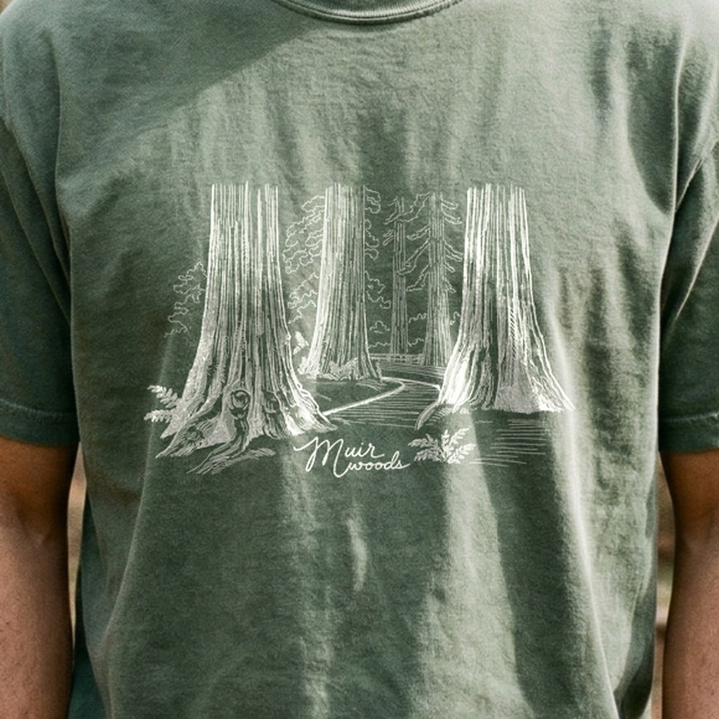 Muir Woods Line Drawing Cotton T-Shirt