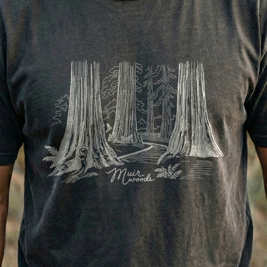Muir Woods Line Drawing Cotton T-Shirt