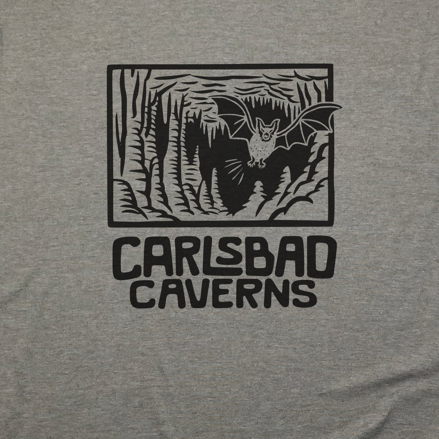 Carlsbad Caverns National Park T-Shirt Adventure and Outdoors Themed T-Shirt