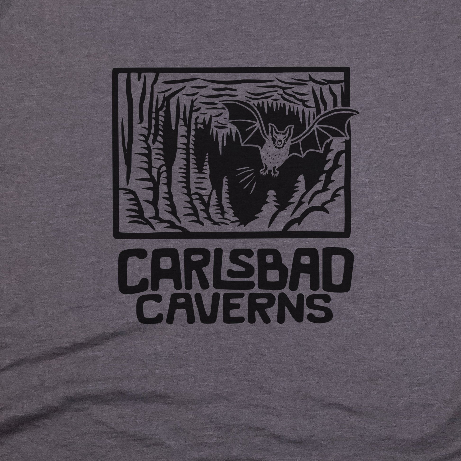 Carlsbad Caverns National Park T-Shirt Adventure and Outdoors Themed T-Shirt