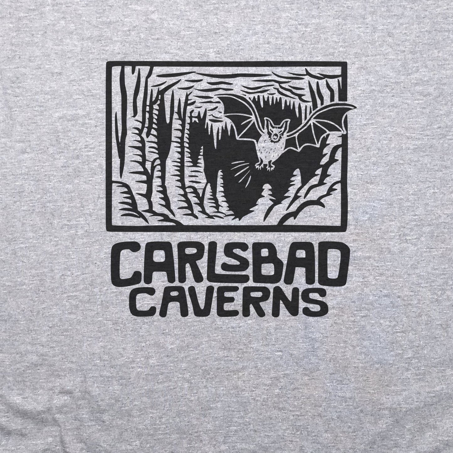 Carlsbad Caverns National Park T-Shirt Adventure and Outdoors Themed T-Shirt