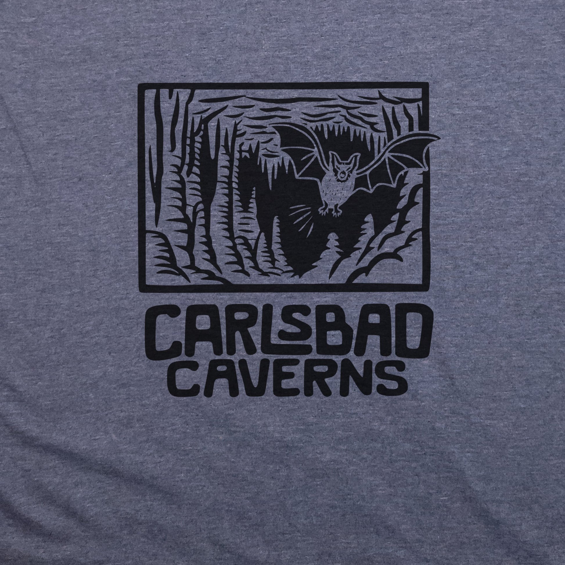 Carlsbad Caverns National Park T-Shirt Adventure and Outdoors Themed T-Shirt