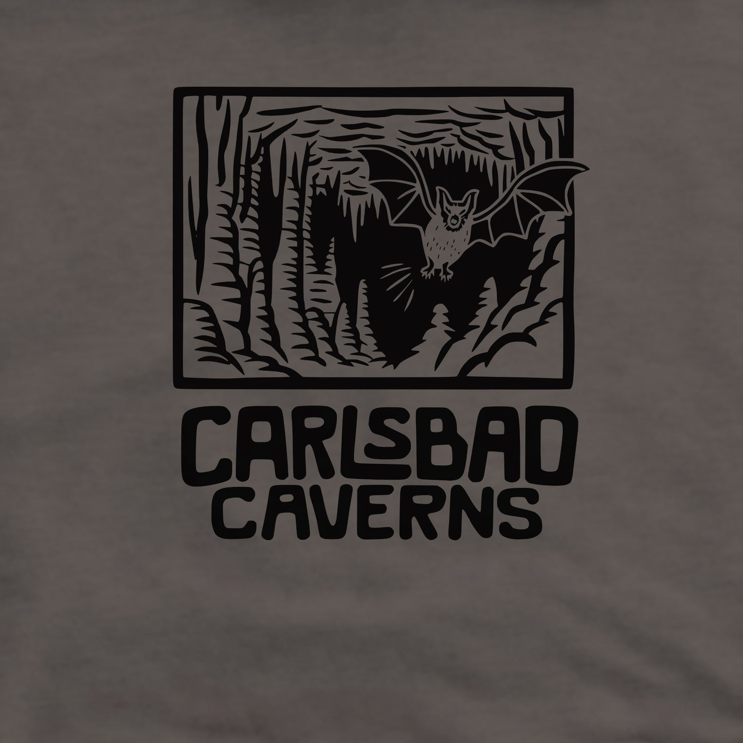 Carlsbad Caverns National Park Crewneck Sweatshirt Adventure and Outdoors Themed Sweatshirt