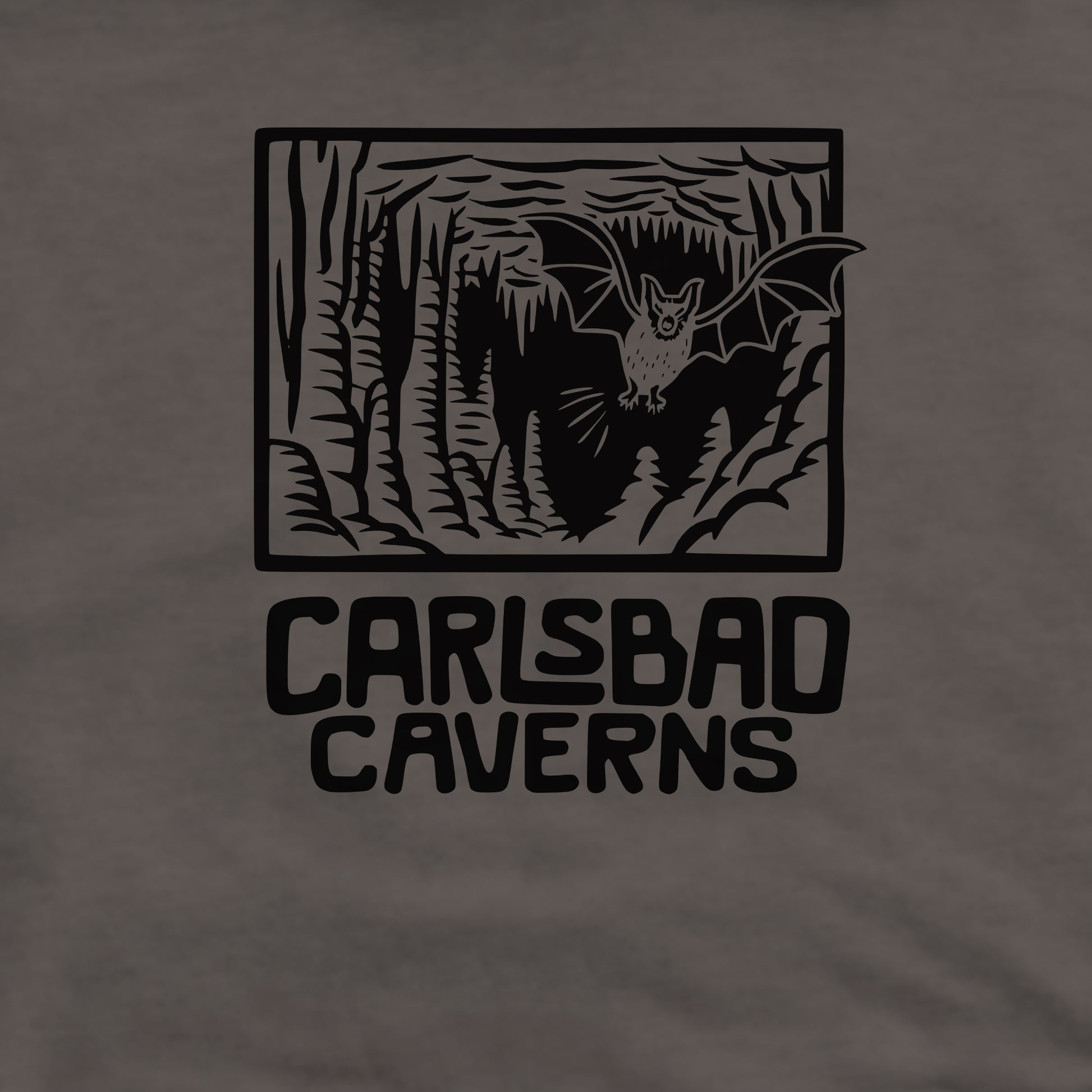 Carlsbad Caverns National Park Crewneck Sweatshirt Adventure and Outdoors Themed Sweatshirt