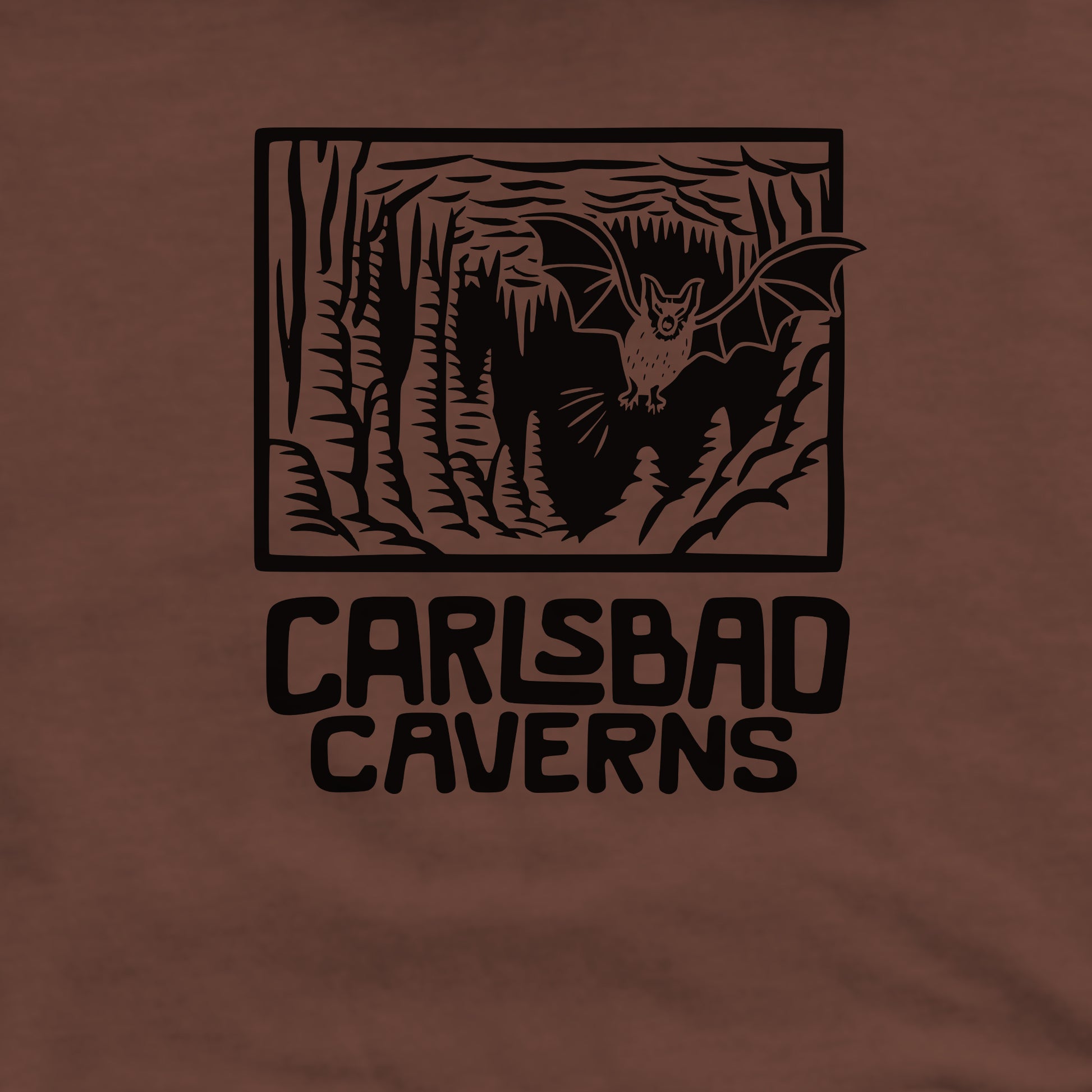 Carlsbad Caverns National Park Crewneck Sweatshirt Adventure and Outdoors Themed Sweatshirt