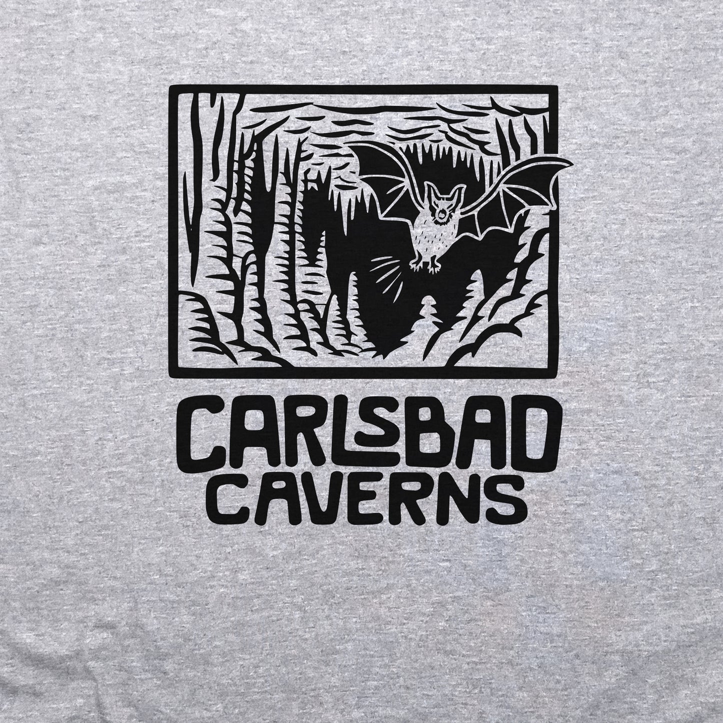 Carlsbad Caverns National Park Crewneck Sweatshirt Adventure and Outdoors Themed Sweatshirt