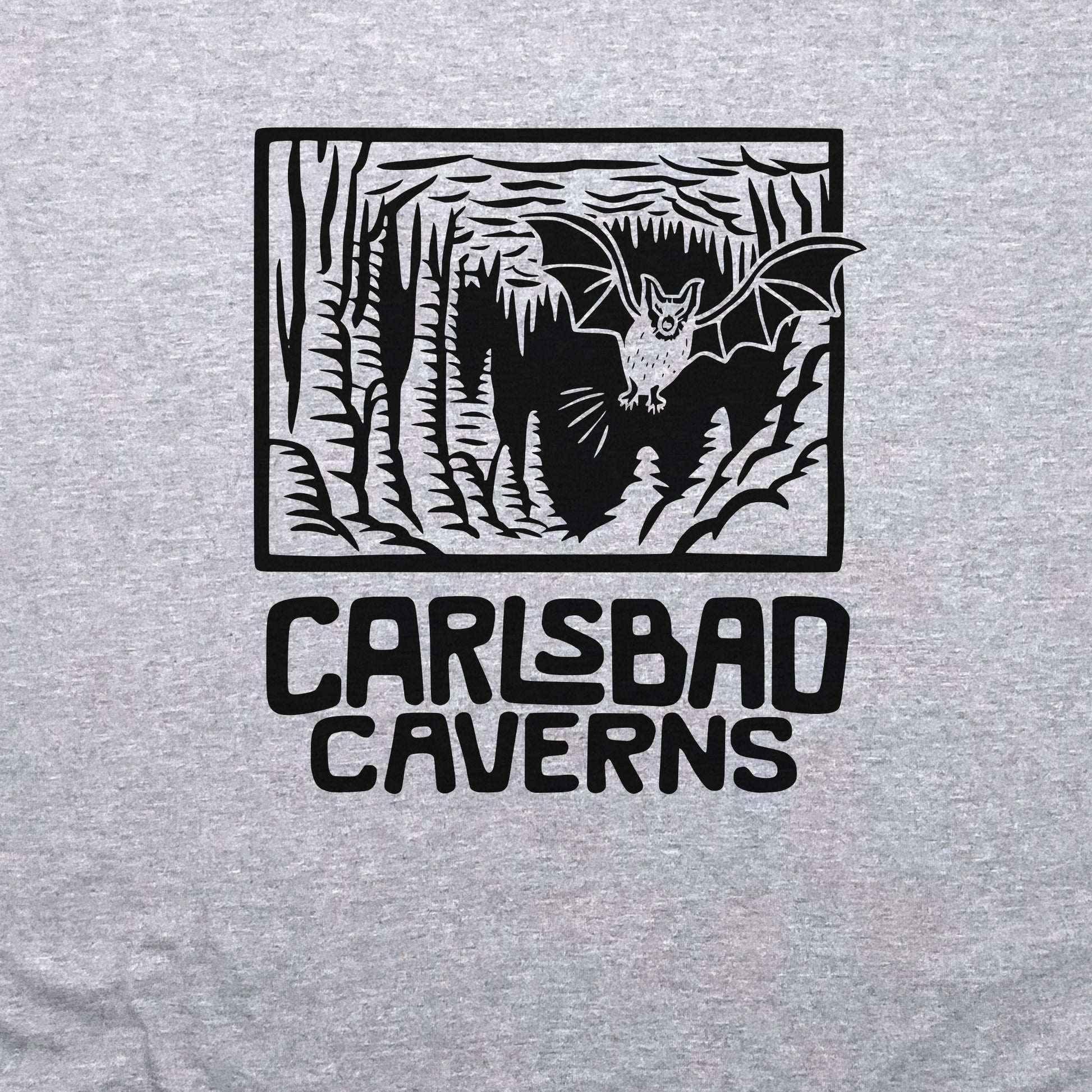 Carlsbad Caverns National Park Crewneck Sweatshirt Adventure and Outdoors Themed Sweatshirt