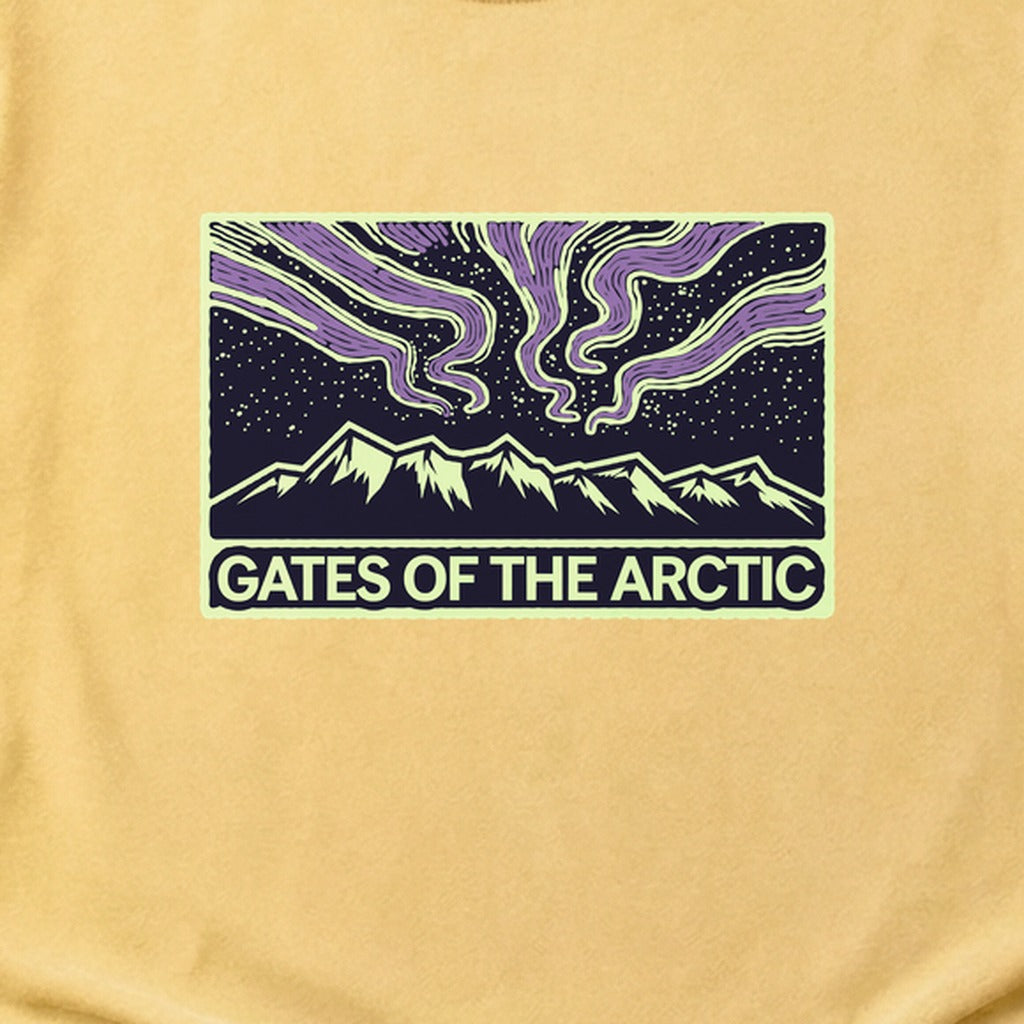 Gates of the Artic at Night Cotton T-Shirt