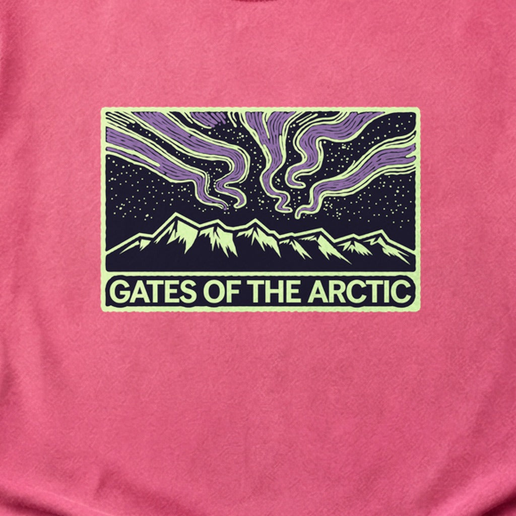 Gates of the Artic at Night Cotton T-Shirt