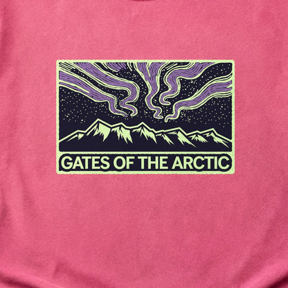 Gates of the Artic at Night Cotton T-Shirt