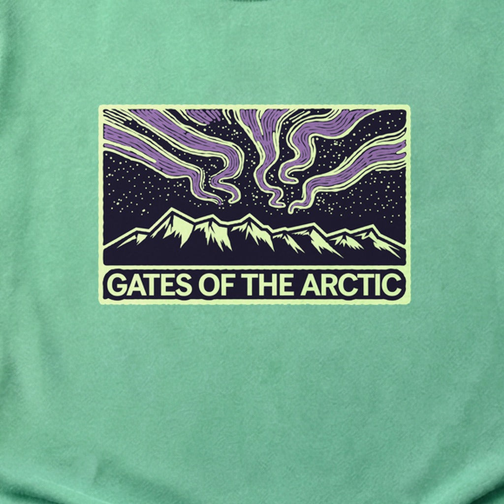 Gates of the Artic at Night Cotton T-Shirt