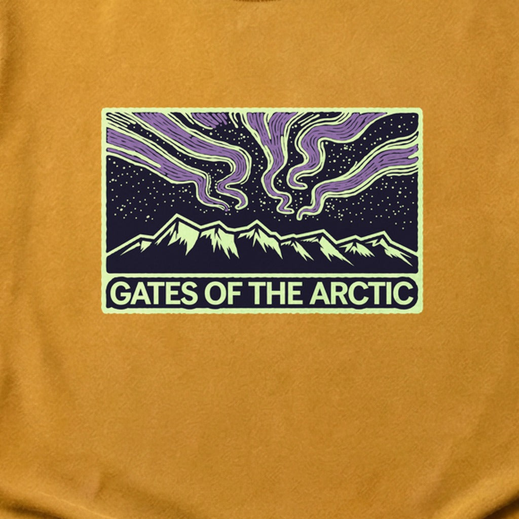 Gates of the Artic at Night Cotton T-Shirt