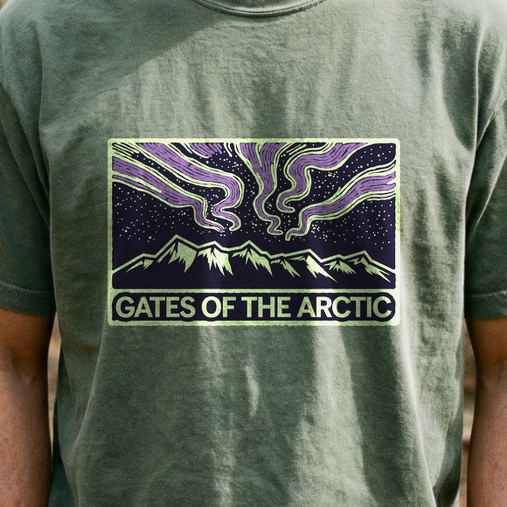 Gates of the Artic at Night Cotton T-Shirt