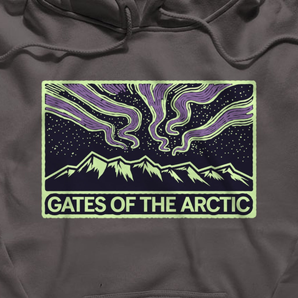Gates of the Artic at Night Hoodie