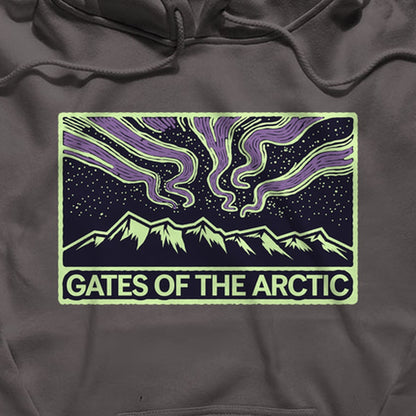 Gates of the Artic at Night Hoodie