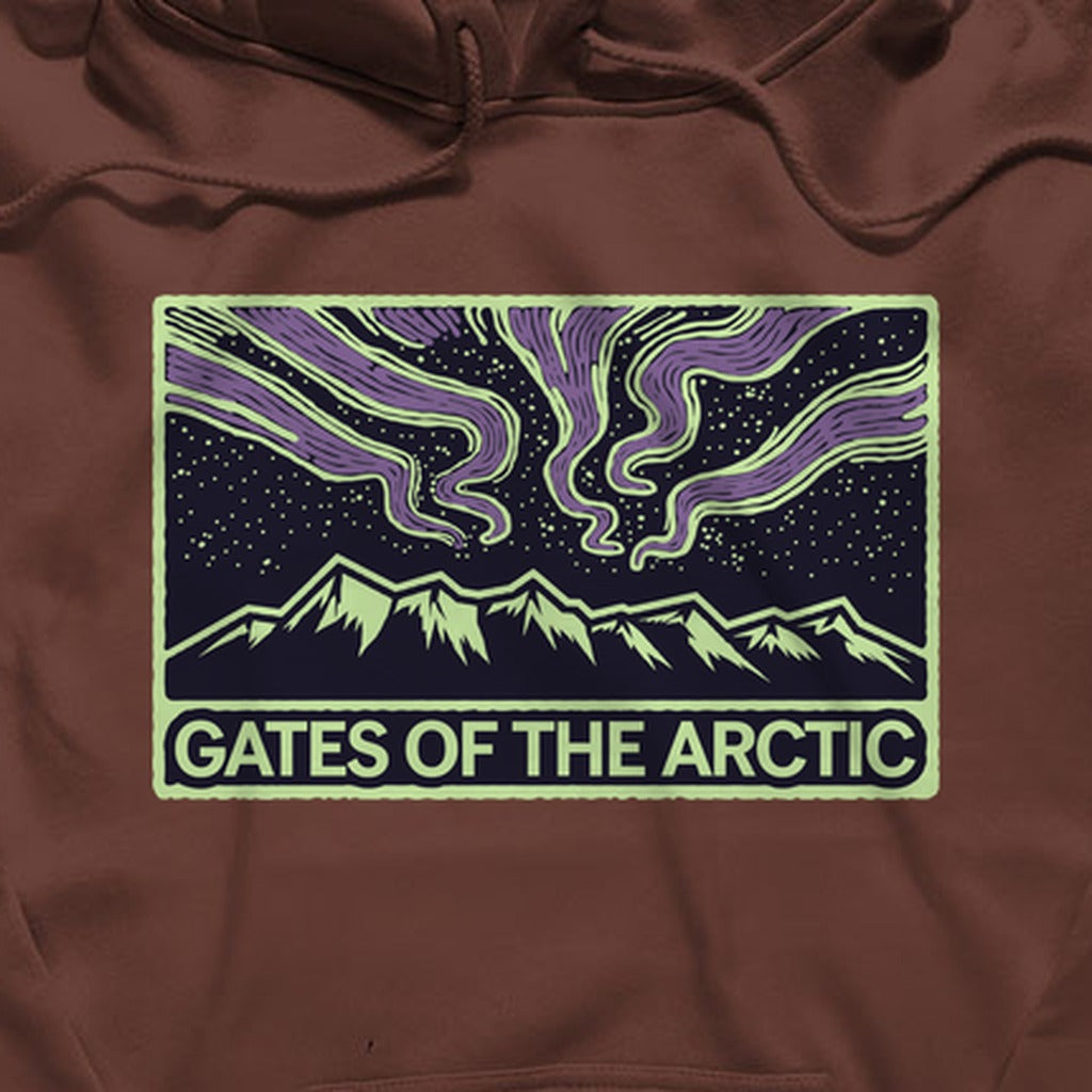 Gates of the Artic at Night Hoodie