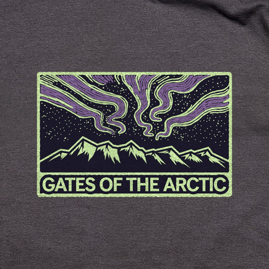 Gates of the Artic at Night T-Shirt