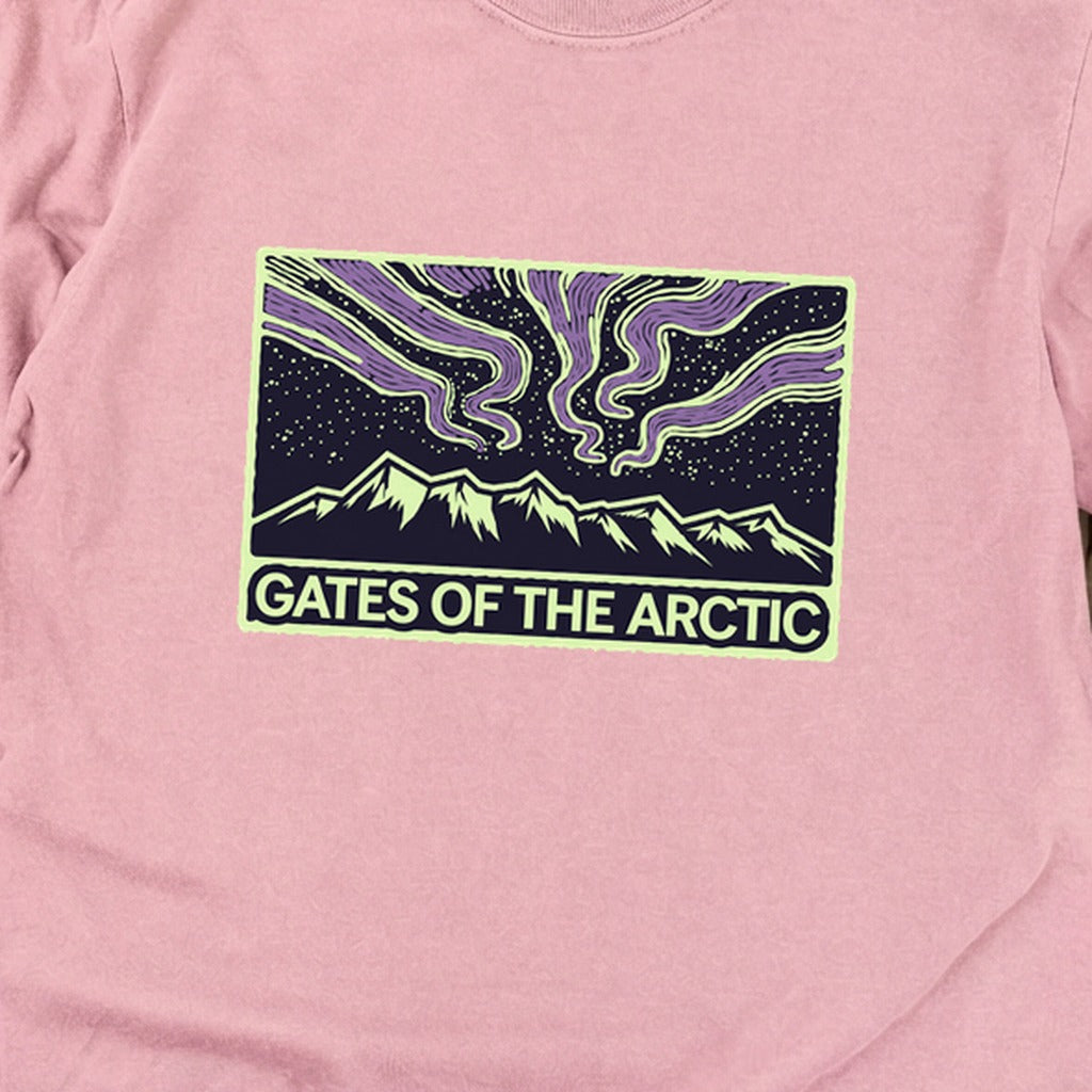 Gates of the Artic at Night Premium Long Sleeve