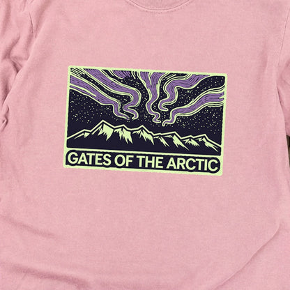 Gates of the Artic at Night Premium Long Sleeve