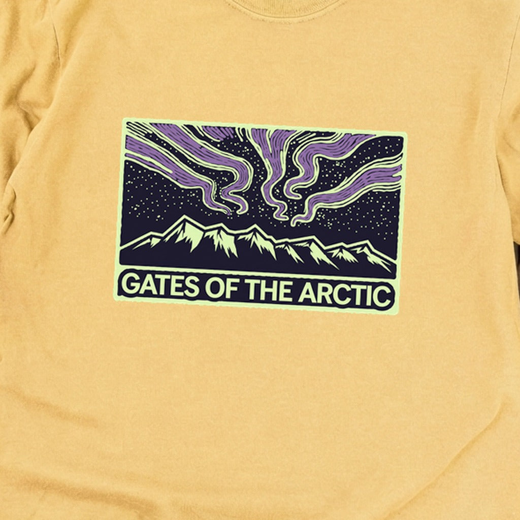 Gates of the Artic at Night Premium Long Sleeve