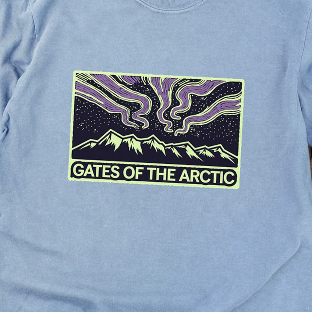 Gates of the Artic at Night Premium Long Sleeve