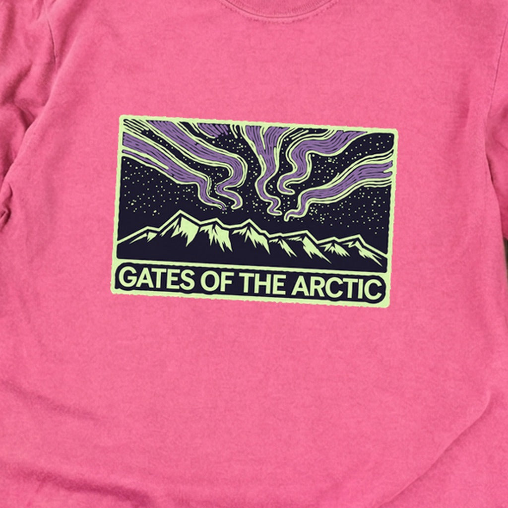 Gates of the Artic at Night Premium Long Sleeve