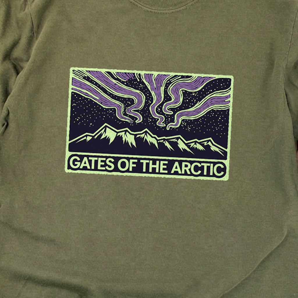 Gates of the Artic at Night Premium Long Sleeve