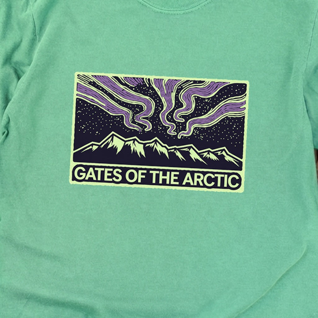 Gates of the Artic at Night Premium Long Sleeve