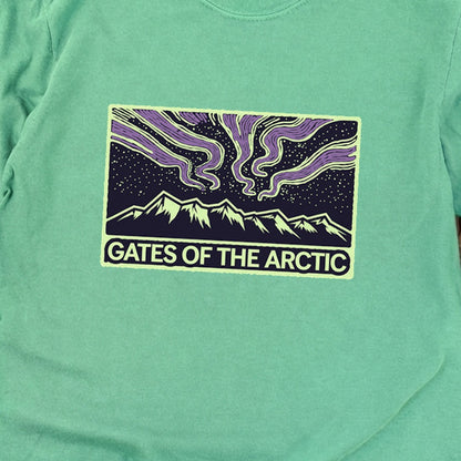 Gates of the Artic at Night Premium Long Sleeve