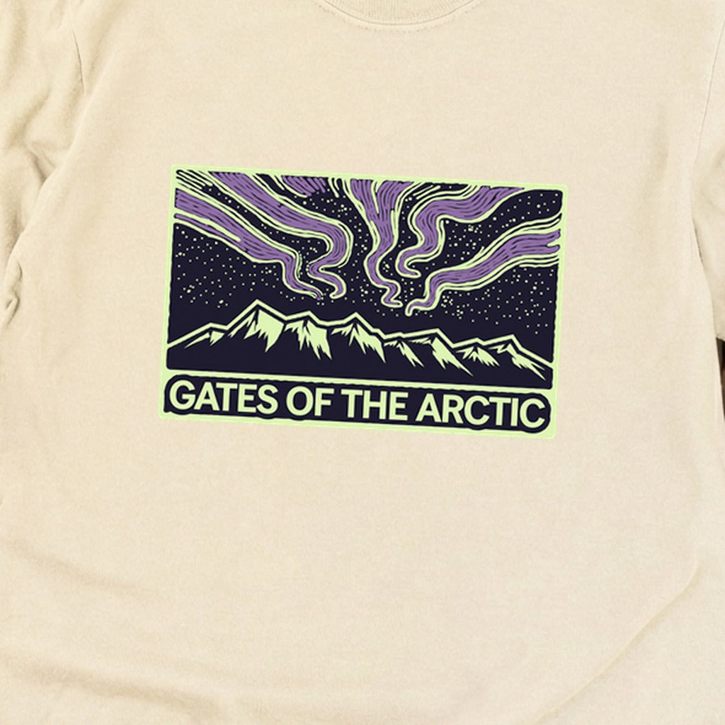 Gates of the Artic at Night Premium Long Sleeve