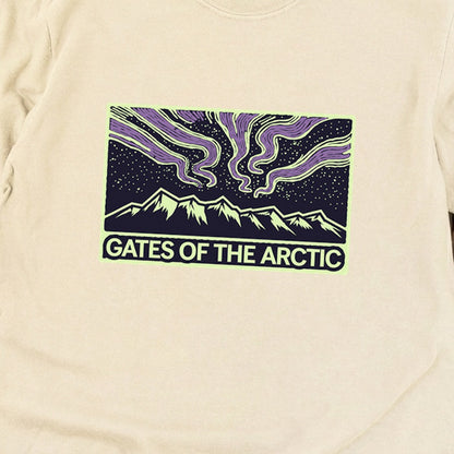 Gates of the Artic at Night Premium Long Sleeve