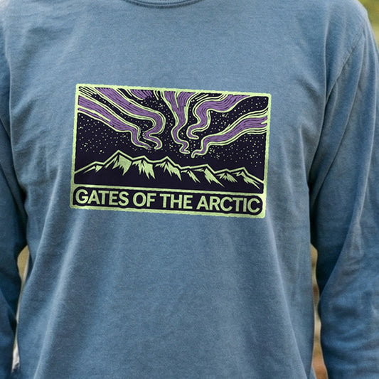 Gates of the Artic at Night Premium Long Sleeve