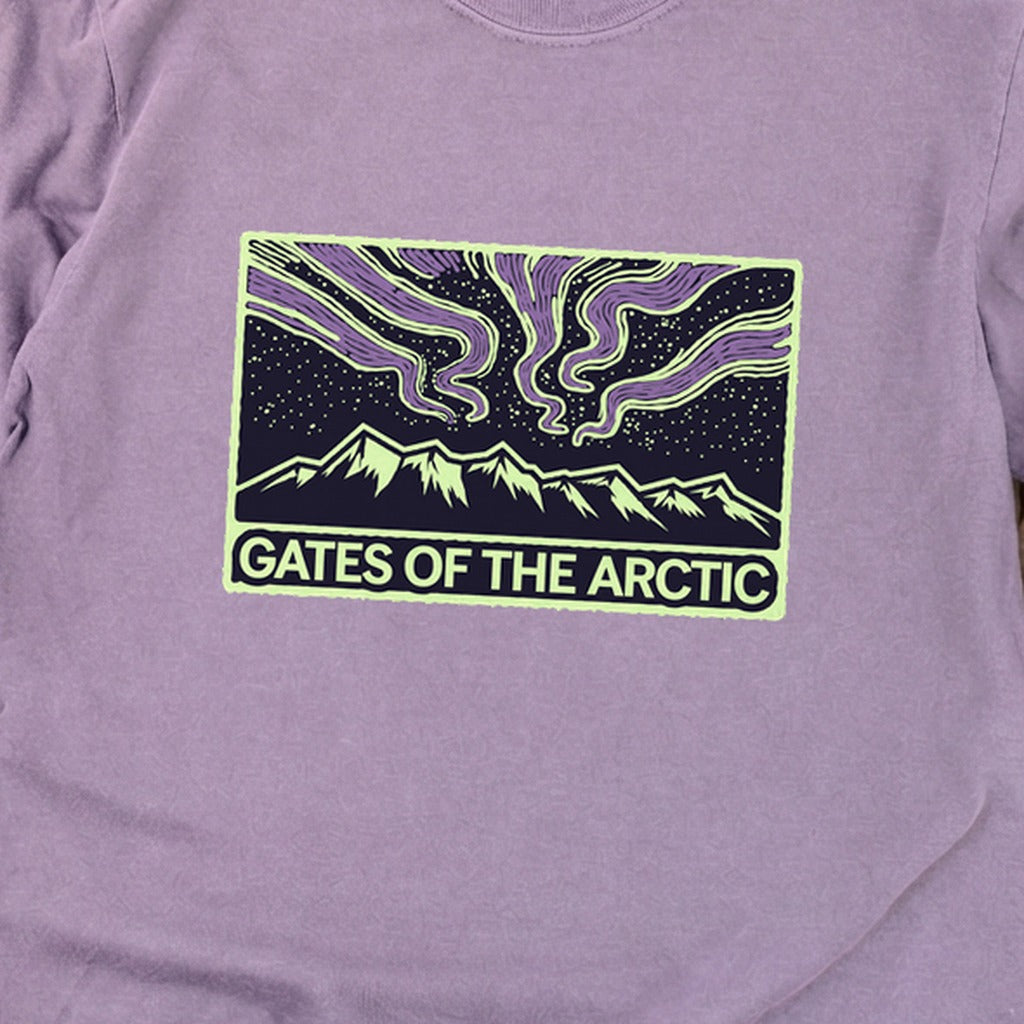Gates of the Artic at Night Premium Long Sleeve