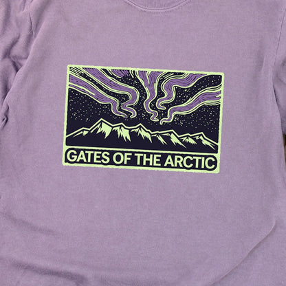Gates of the Artic at Night Premium Long Sleeve