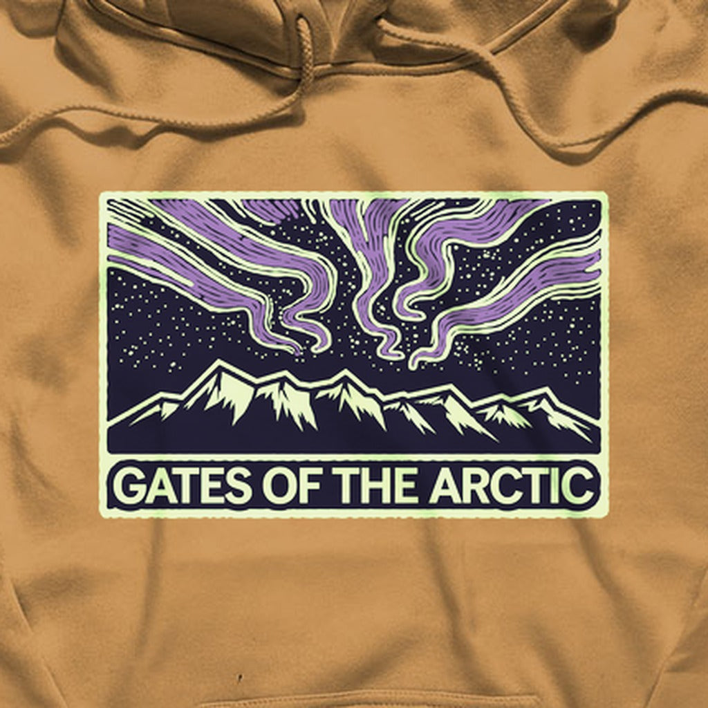 Gates of the Artic at Night Hoodie