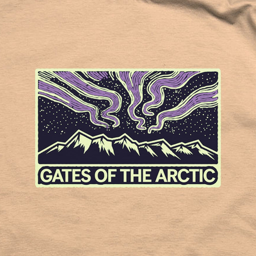 Gates of the Artic at Night T-Shirt