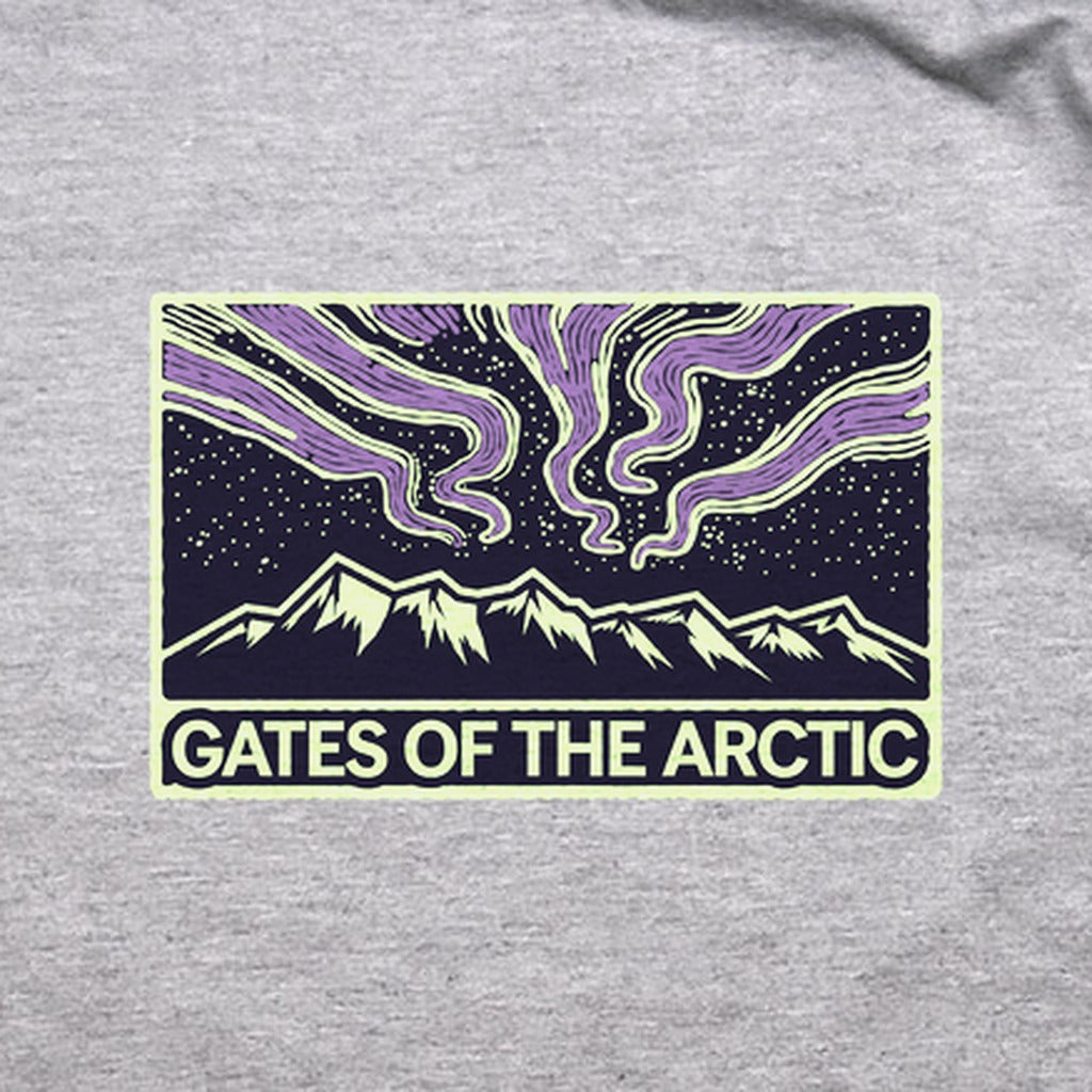Gates of the Artic at Night T-Shirt