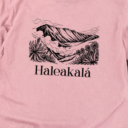 Haleakalā National Park Line Drawing Premium Long Sleeve
