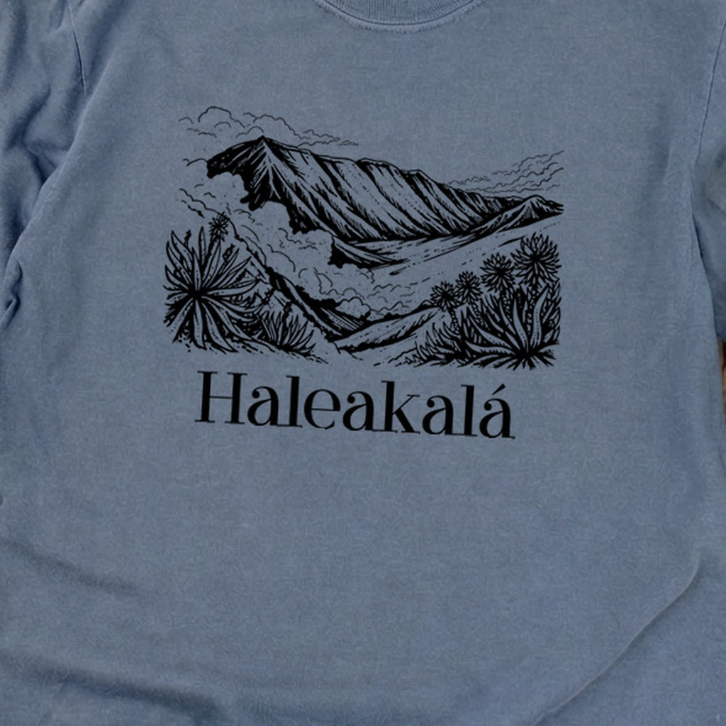 Haleakalā National Park Line Drawing Premium Long Sleeve