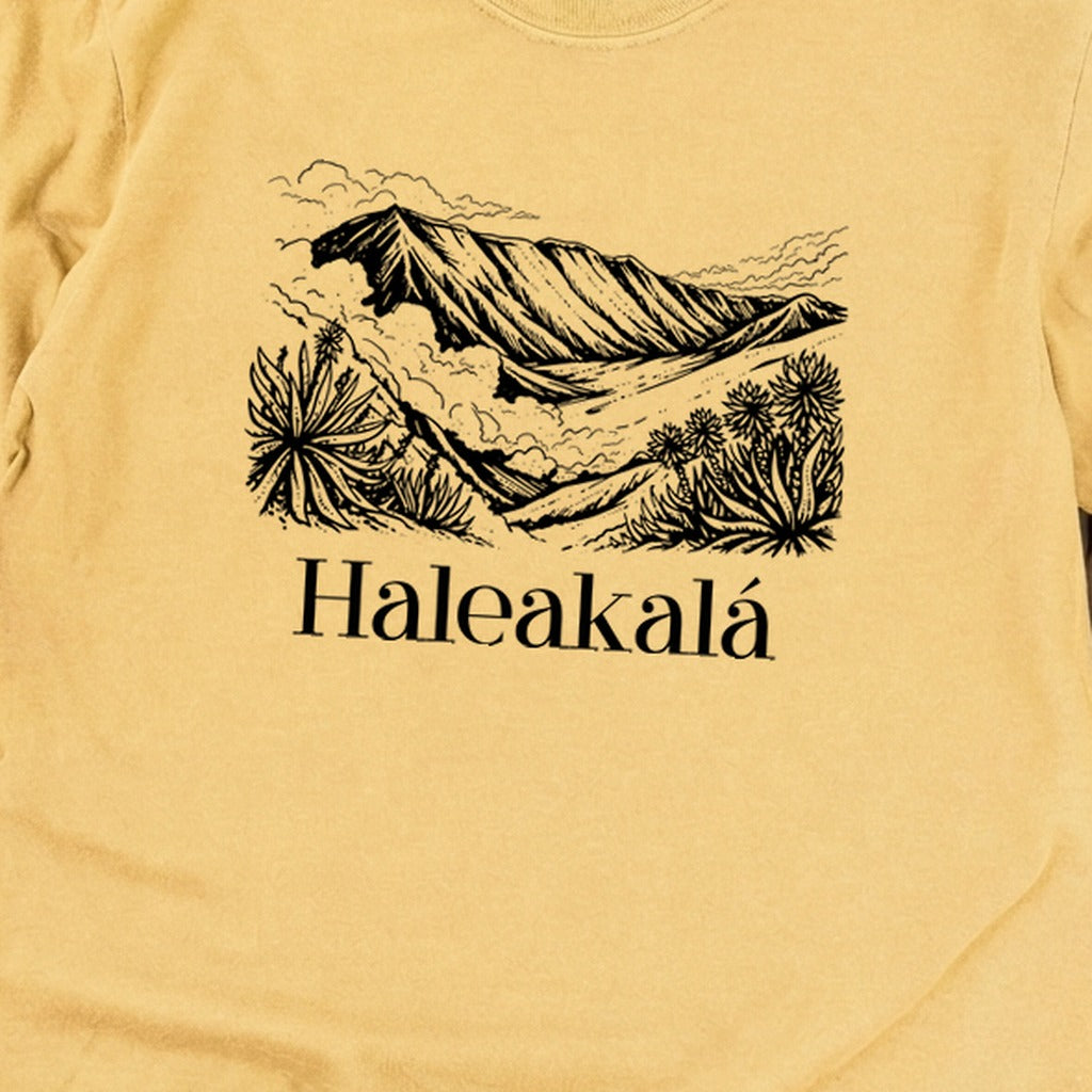 Haleakalā National Park Line Drawing Premium Long Sleeve