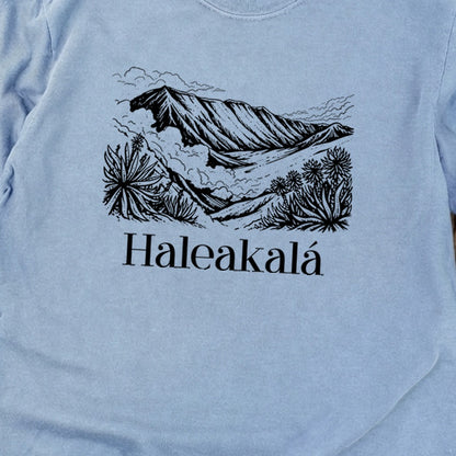 Haleakalā National Park Line Drawing Premium Long Sleeve