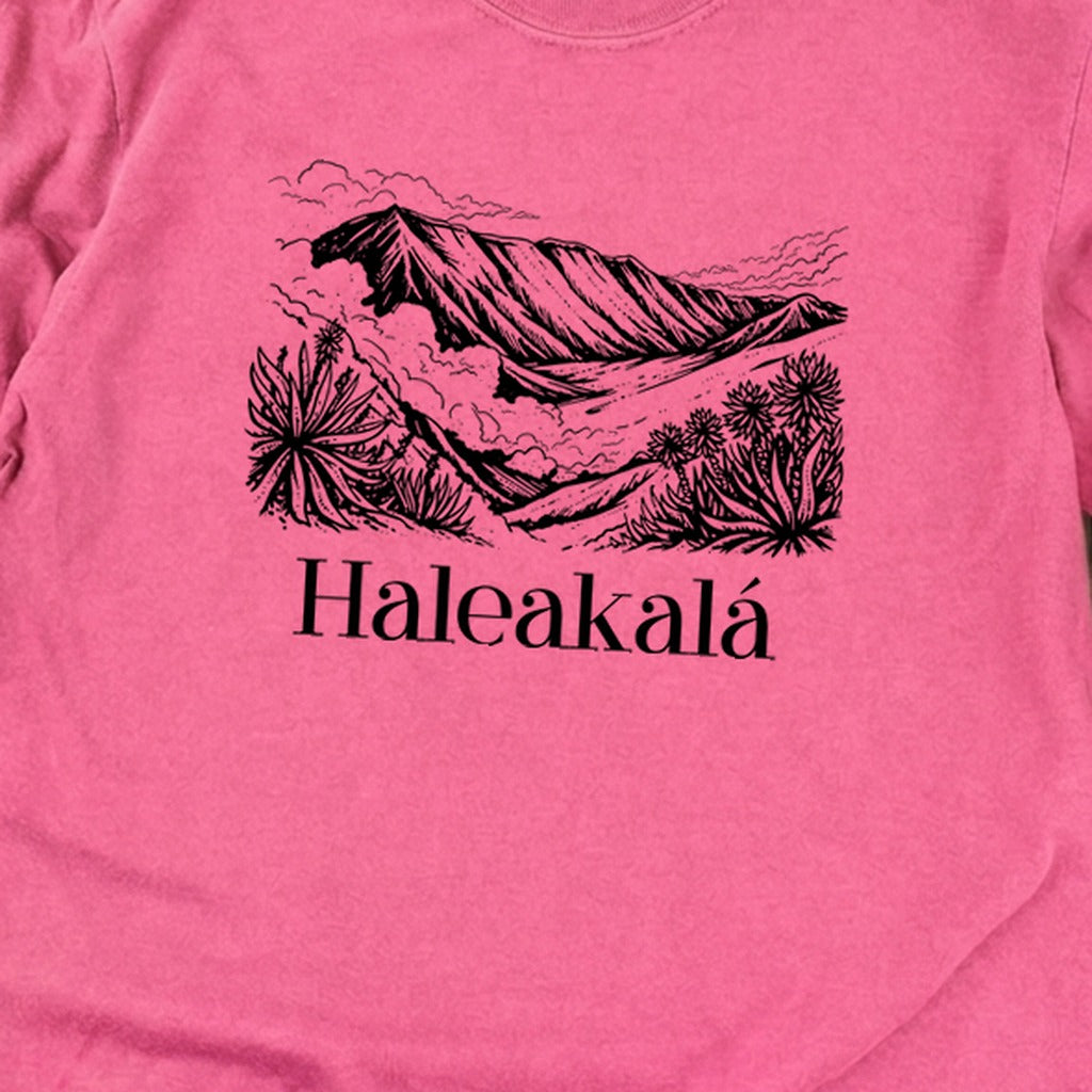 Haleakalā National Park Line Drawing Premium Long Sleeve