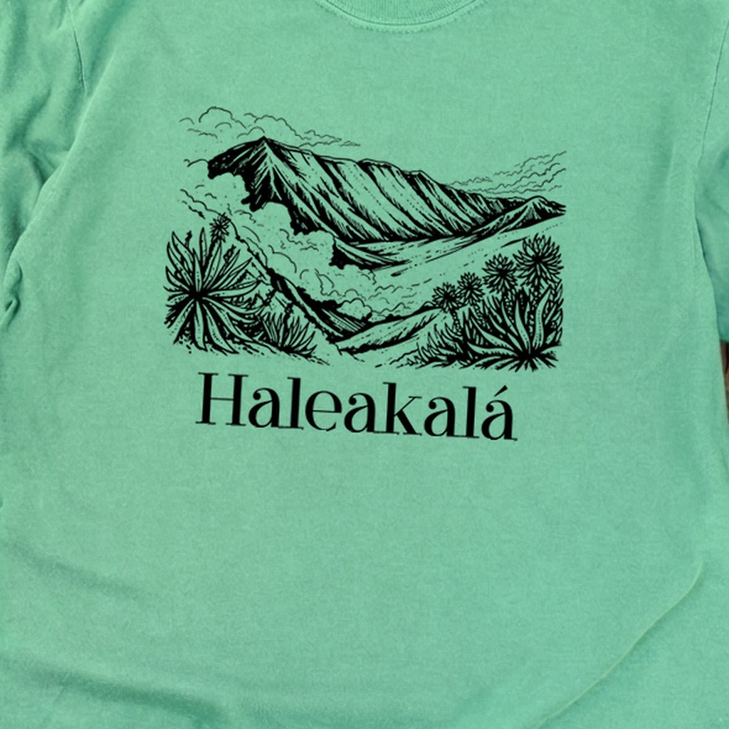 Haleakalā National Park Line Drawing Premium Long Sleeve