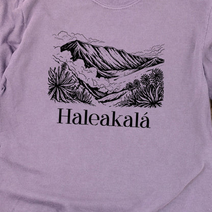 Haleakalā National Park Line Drawing Premium Long Sleeve