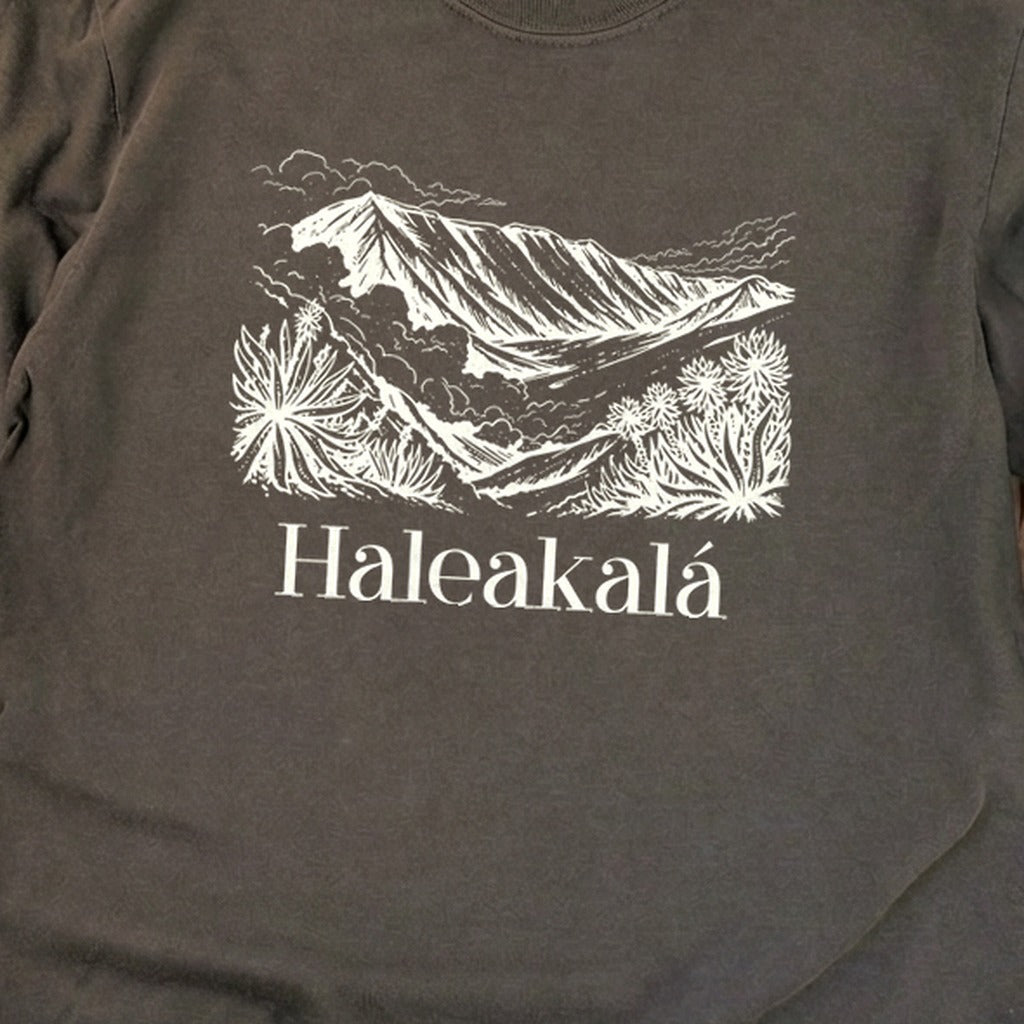 Haleakalā National Park Line Drawing Premium Long Sleeve