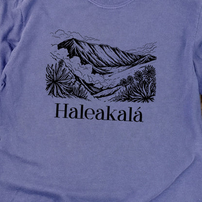 Haleakalā National Park Line Drawing Premium Long Sleeve